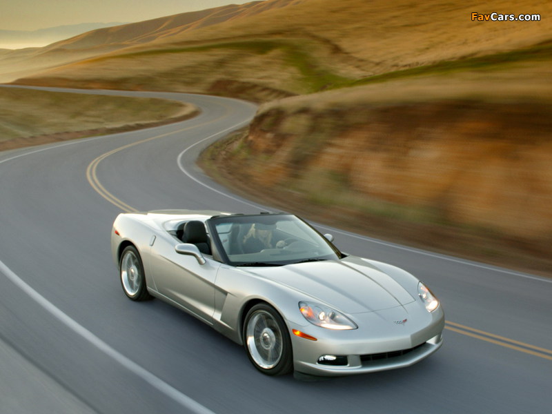 Pictures of Corvette Convertible (C6) 2005 (800 x 600)