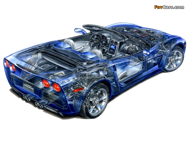 Pictures of Corvette Convertible (C6) 2005 (640 x 480)