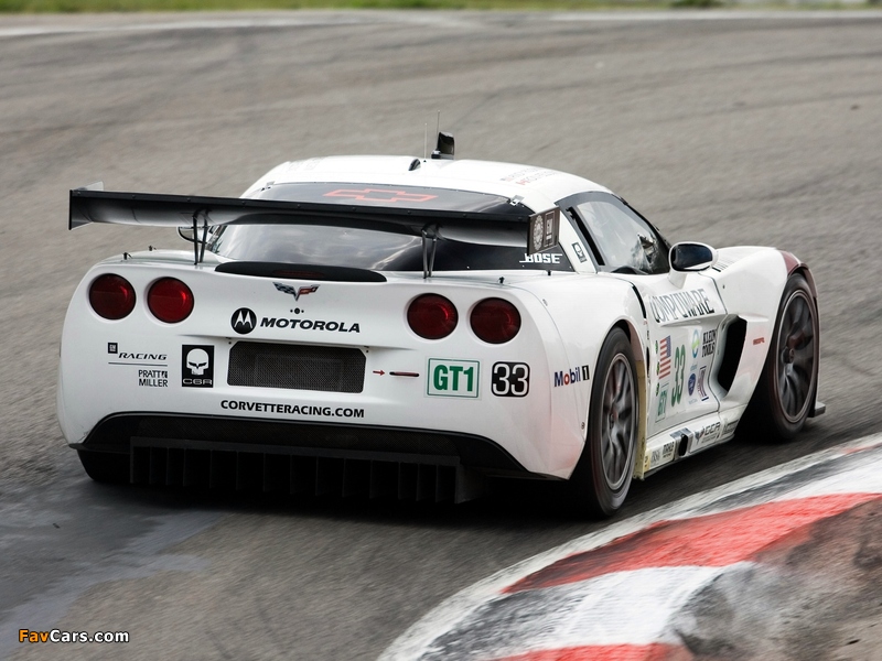 Pictures of Corvette C6.R 2005 (800 x 600)