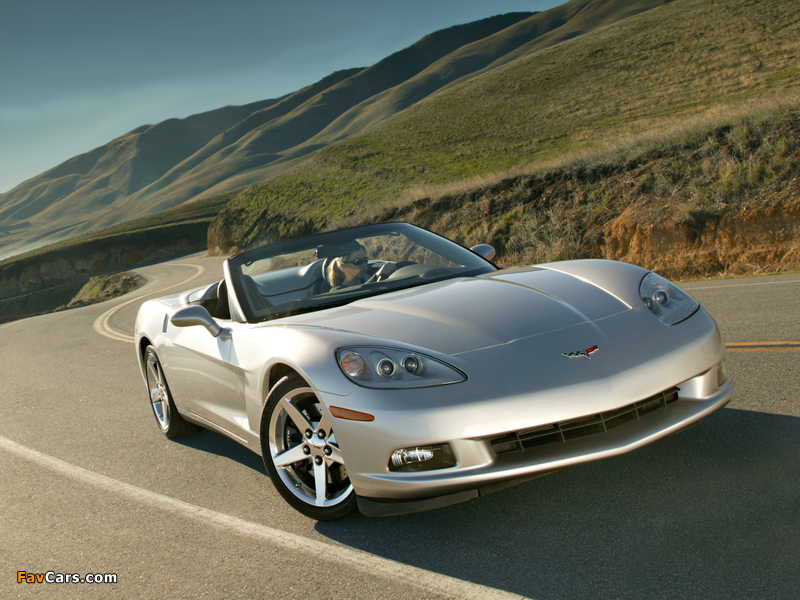 Pictures of Corvette Convertible (C6) 2005 (800 x 600)