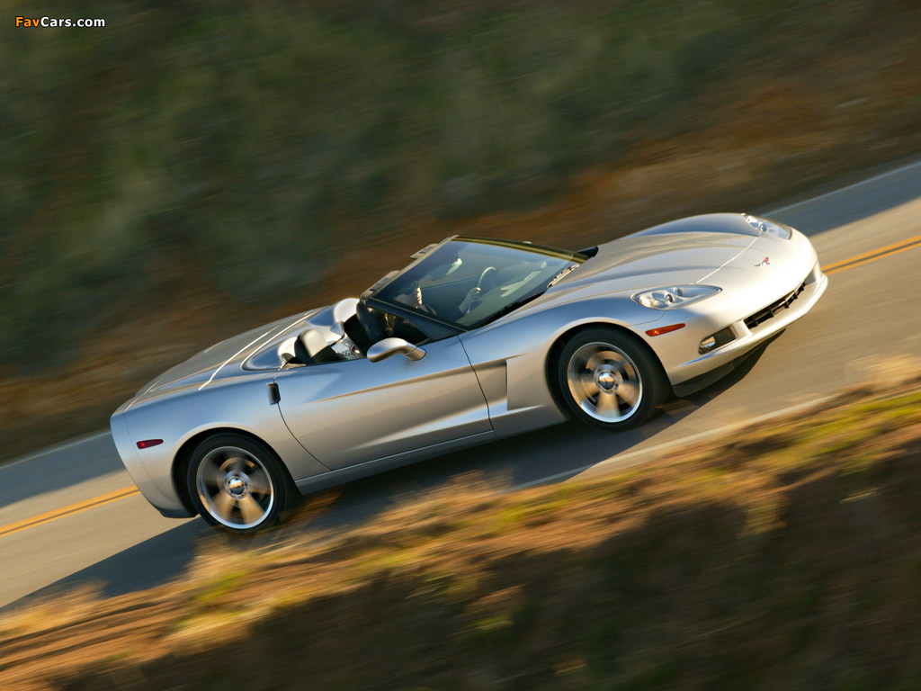 Pictures of Corvette Convertible (C6) 2005 (1024 x 768)