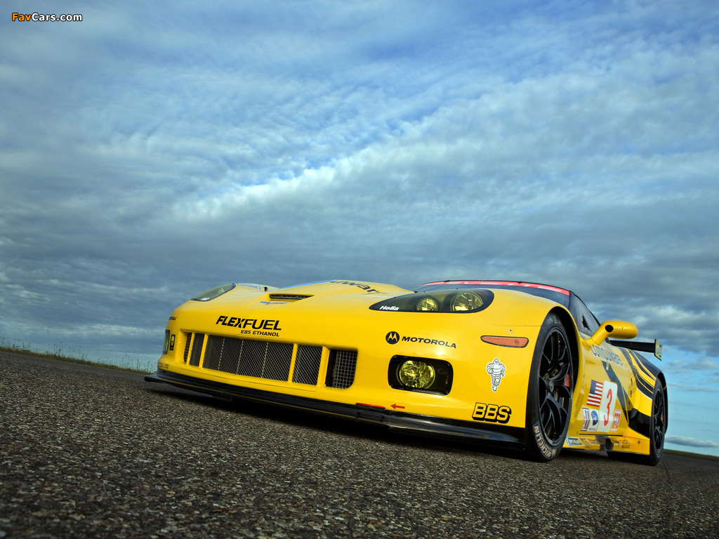 Pictures of Corvette C6.R GT2 2009 (1024 x 768)