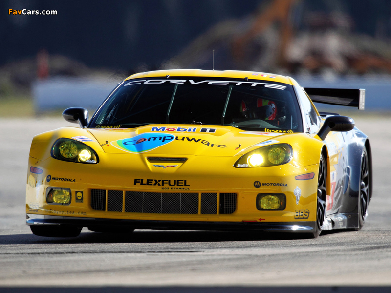 Pictures of Corvette C6.R GT2 2010 (800 x 600)