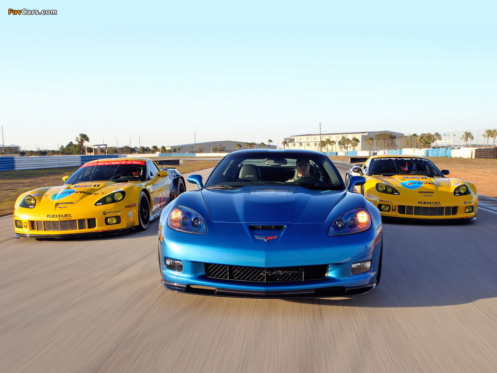 Pictures of Corvette C6 (1024 x 768)