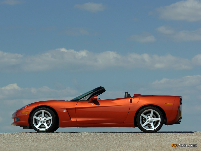 Corvette Convertible (C6) 2005 wallpapers (800 x 600)