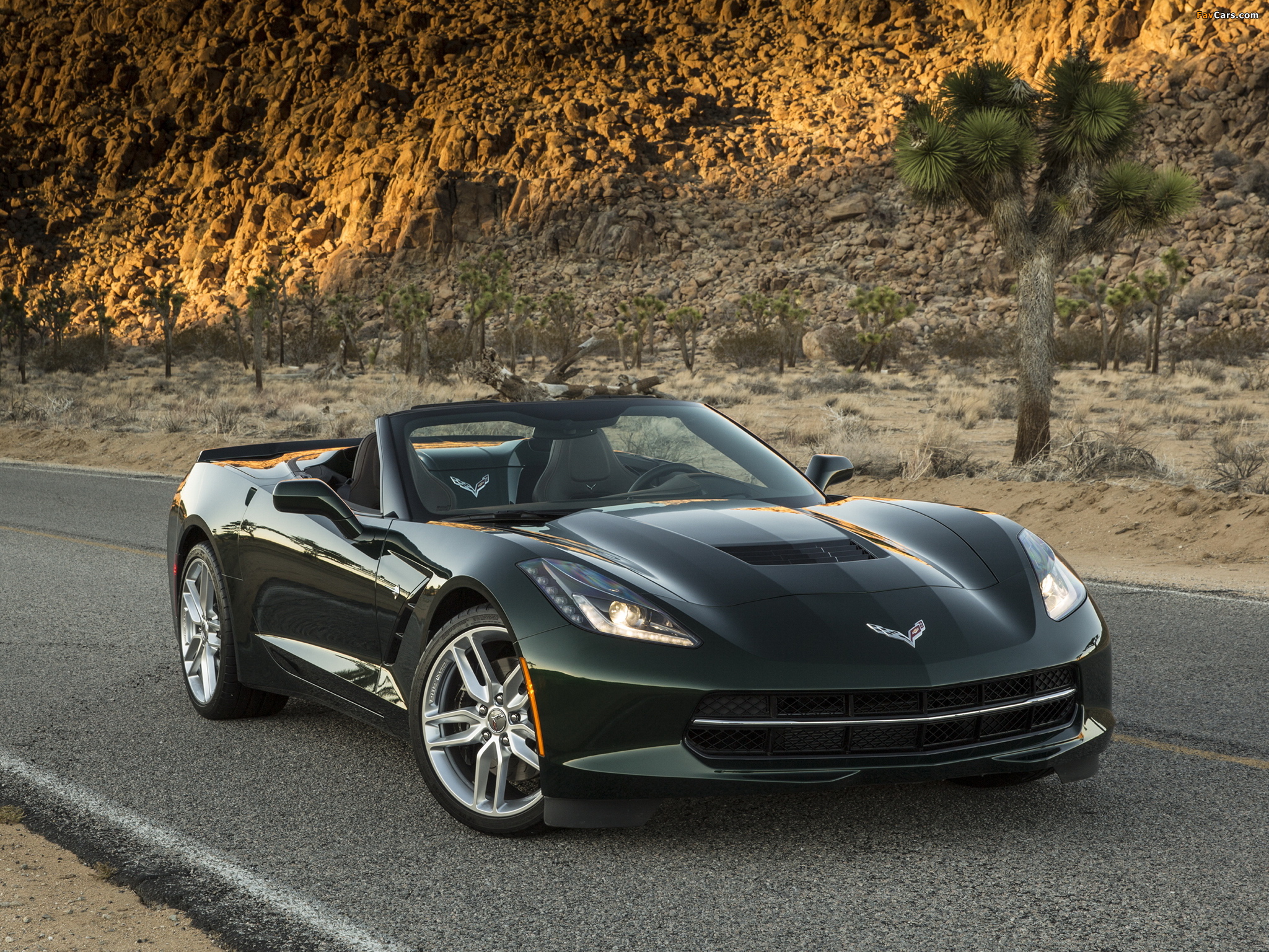 Corvette Stingray Convertible (C7) 2013 images (2048 x 1536)