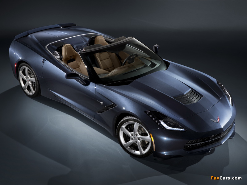 Corvette Stingray Convertible (C7) 2013 photos (800 x 600)