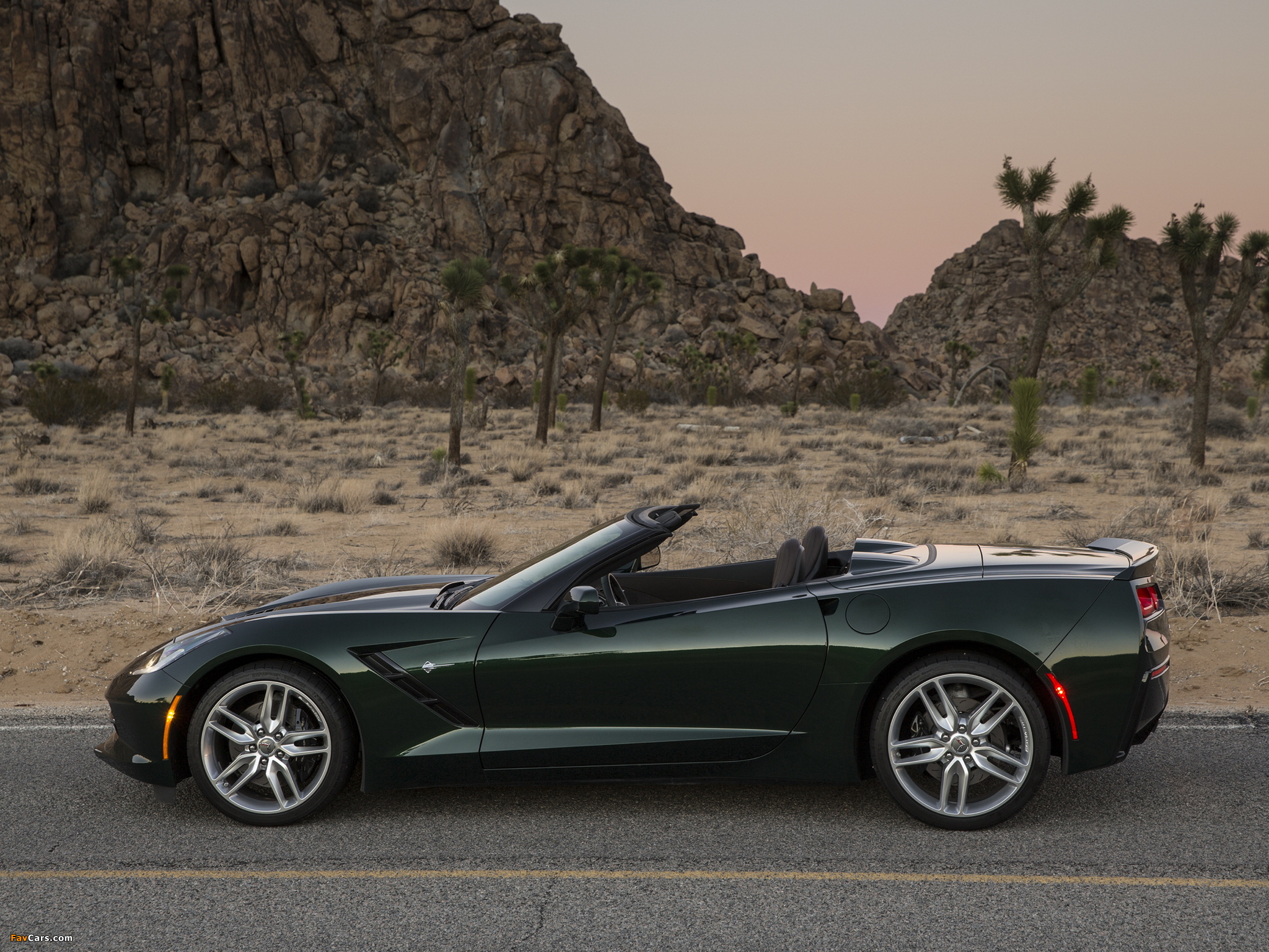 Corvette Stingray Convertible (C7) 2013 pictures (2048 x 1536)