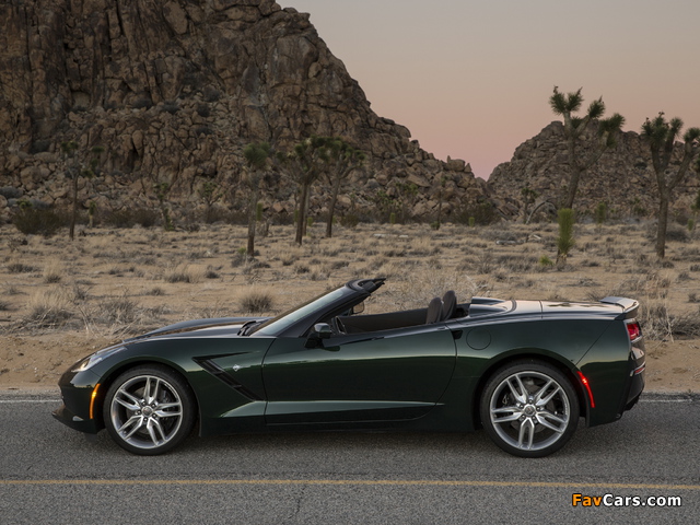 Corvette Stingray Convertible (C7) 2013 pictures (640 x 480)