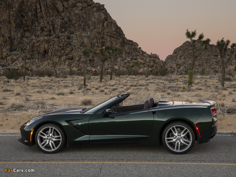 Corvette Stingray Convertible (C7) 2013 pictures (800 x 600)