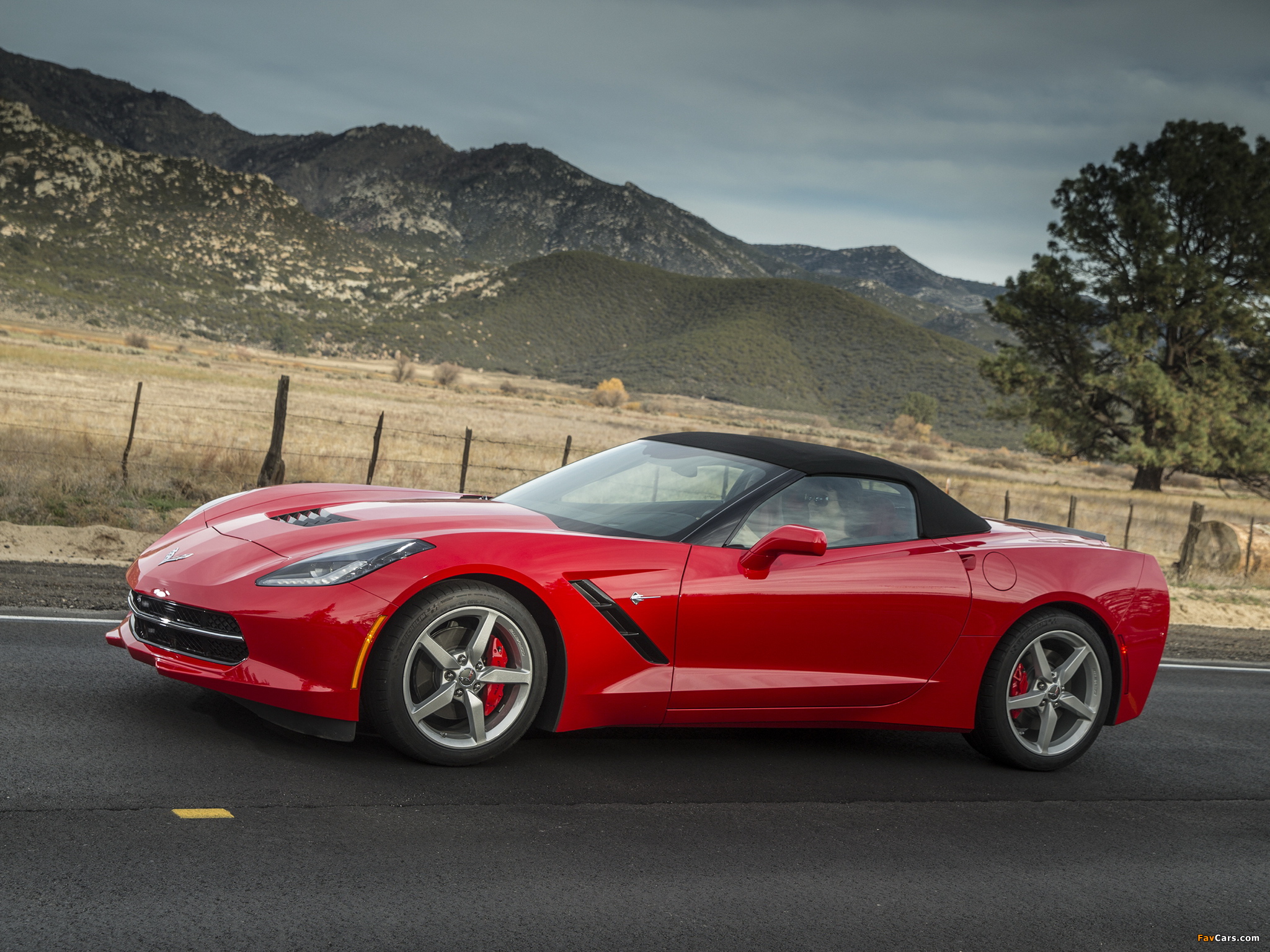 Photos of Corvette Stingray Convertible (C7) 2013 (2048 x 1536)