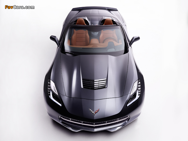 Pictures of Corvette Stingray Convertible (C7) 2013 (640 x 480)