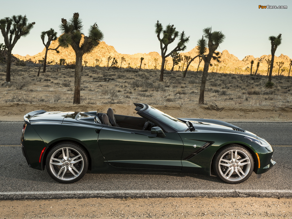 Pictures of Corvette Stingray Convertible (C7) 2013 (1024 x 768)