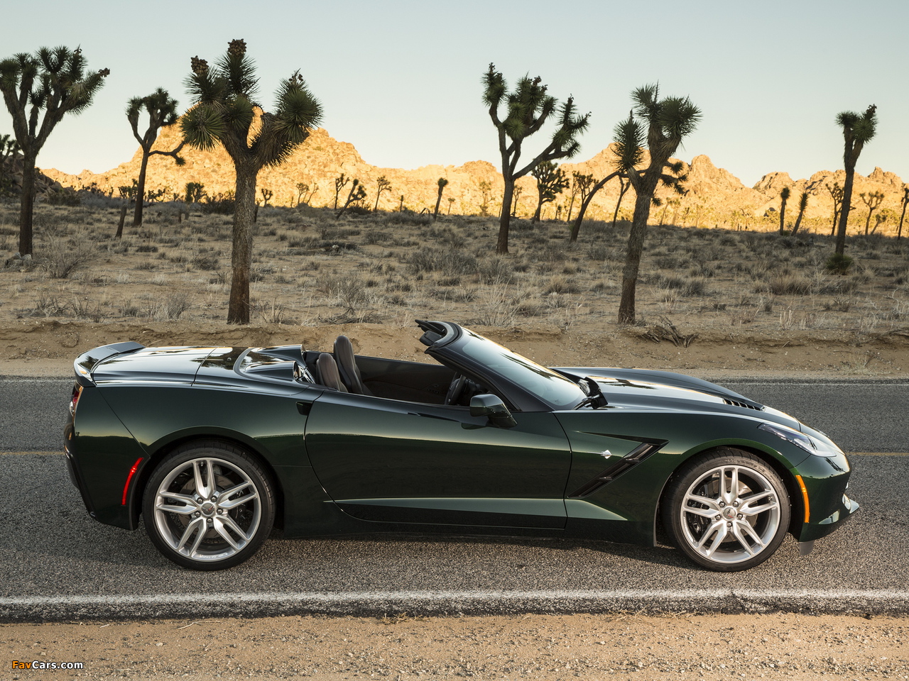 Pictures of Corvette Stingray Convertible (C7) 2013 (1280 x 960)