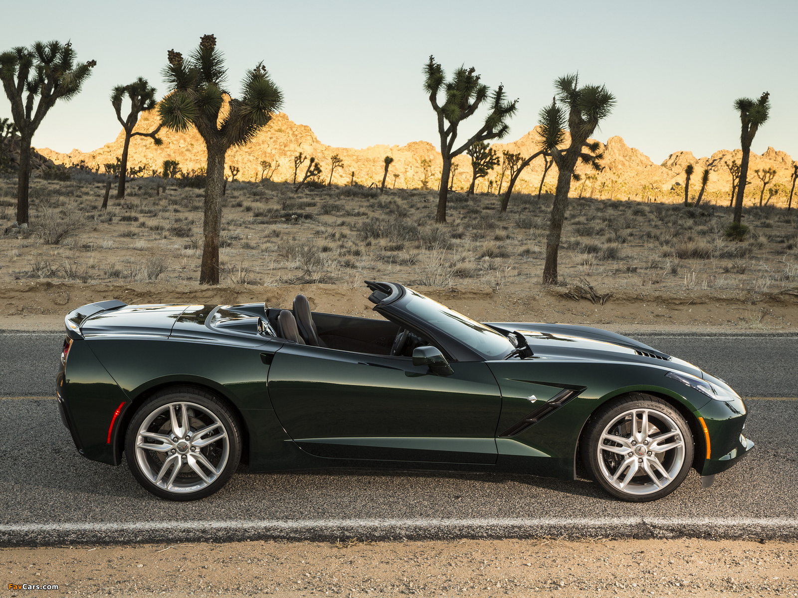 Pictures of Corvette Stingray Convertible (C7) 2013 (1600 x 1200)