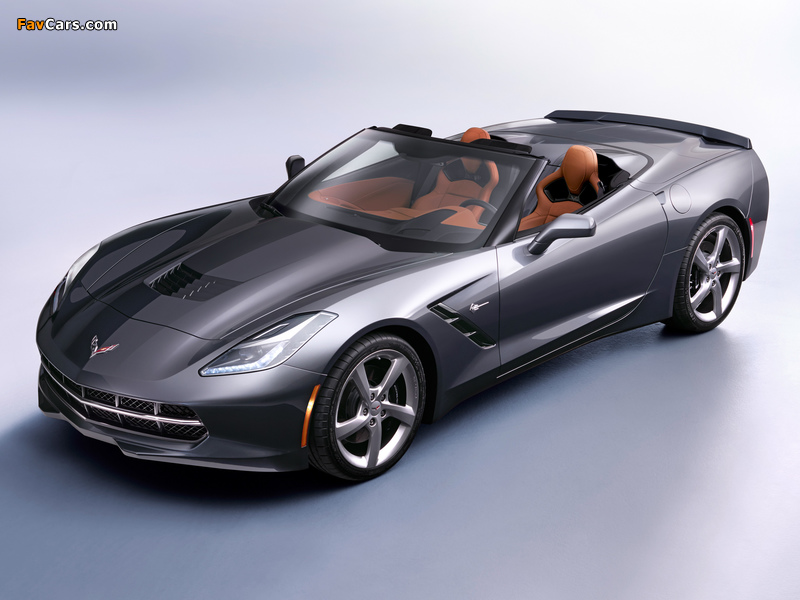 Pictures of Corvette Stingray Convertible (C7) 2013 (800 x 600)