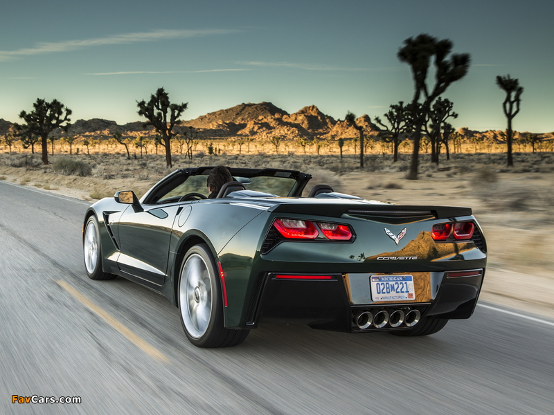 Corvette Stingray Convertible (C7) 2013 wallpapers (800 x 600)