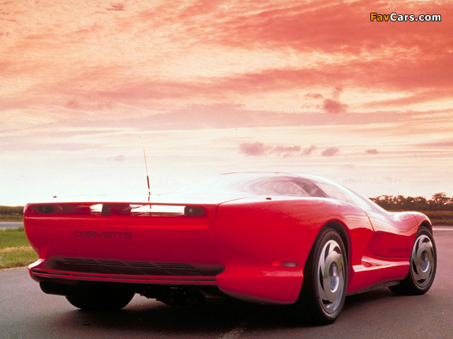 Corvette Indy Concept 1986 pictures (640 x 480)