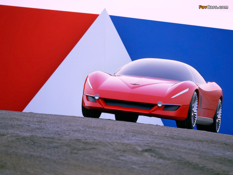 Corvette Moray 2003 photos (800 x 600)