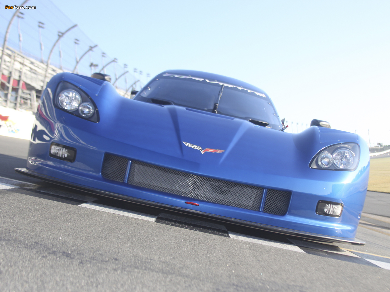 Photos of Corvette Daytona Prototype 2012 (1280 x 960)