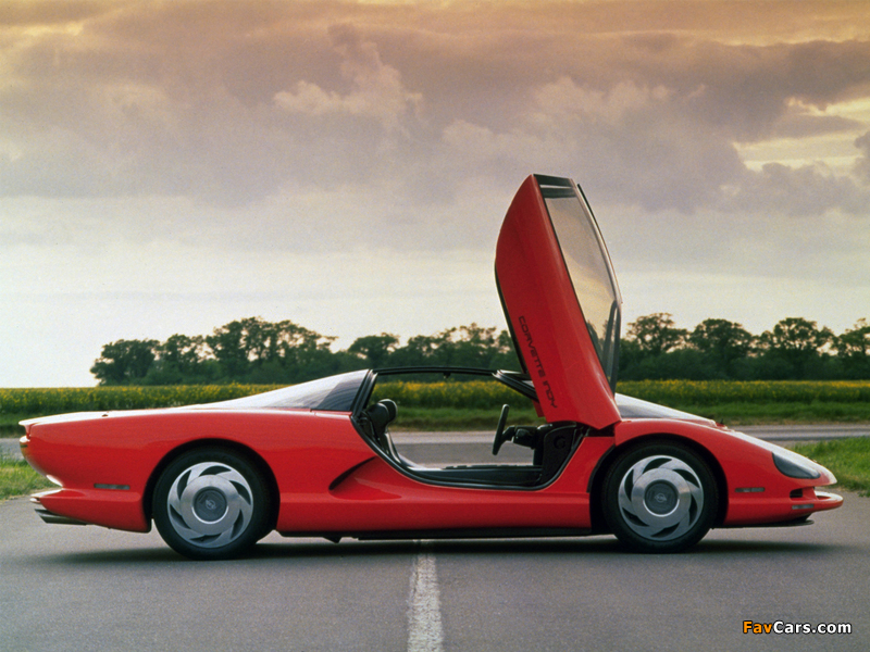 Pictures of Corvette Indy Concept 1986 (800 x 600)