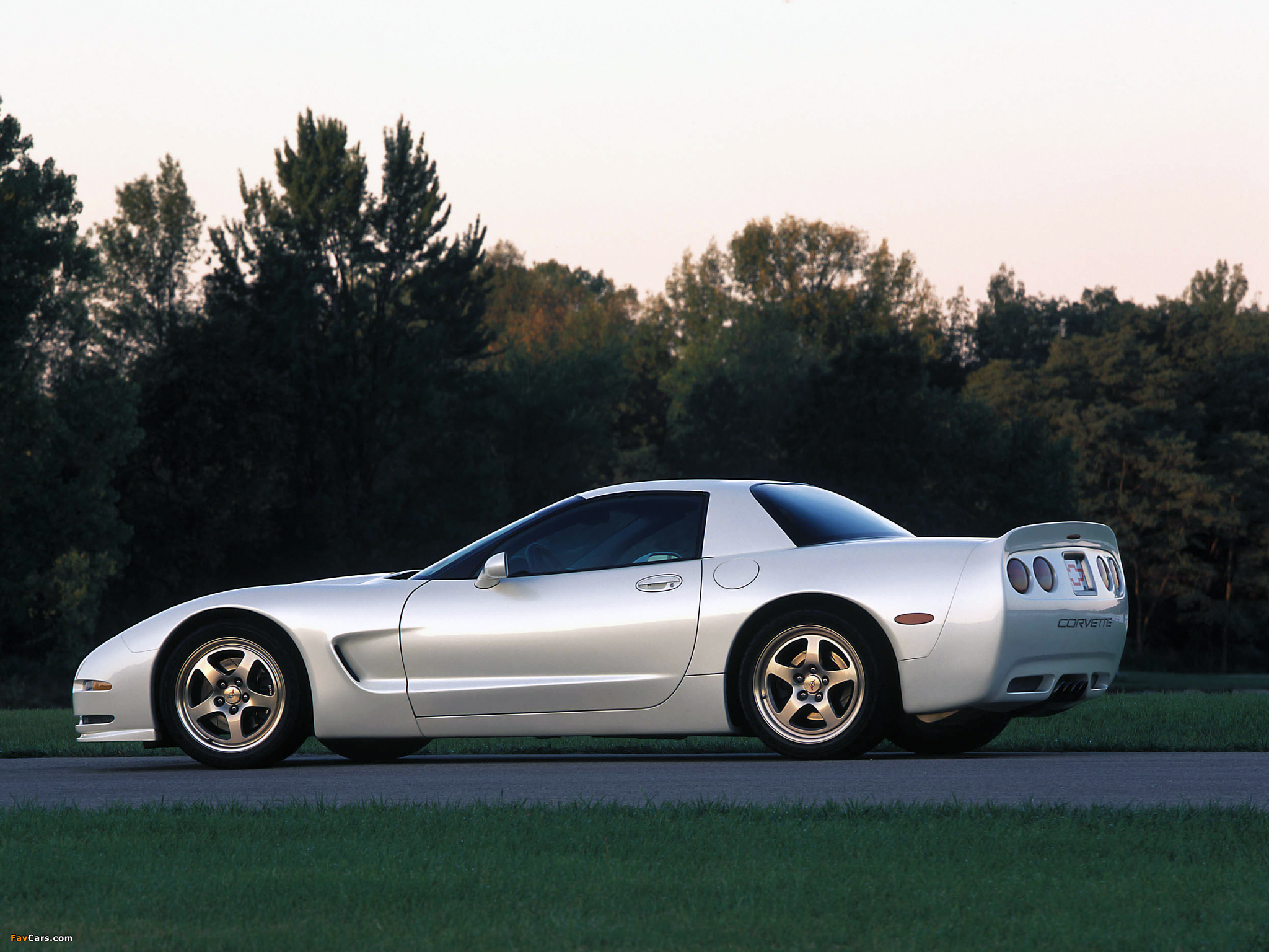 Corvette Z06 White Shark Concept (C5) 2002 images (2048 x 1536)
