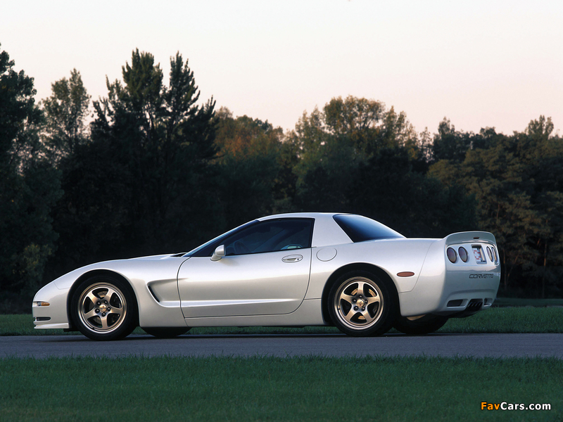 Corvette Z06 White Shark Concept (C5) 2002 images (800 x 600)