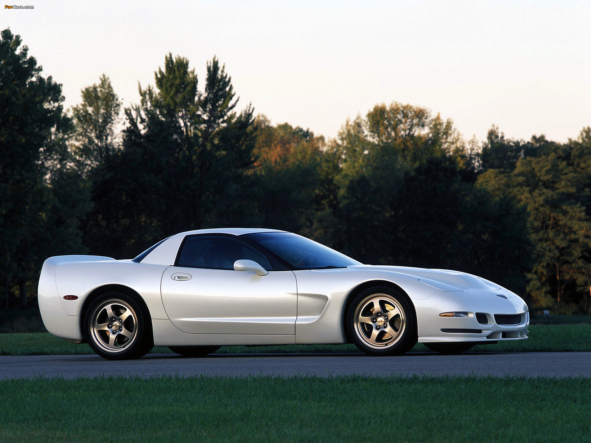 Corvette Z06 White Shark Concept (C5) 2002 pictures (2048 x 1536)