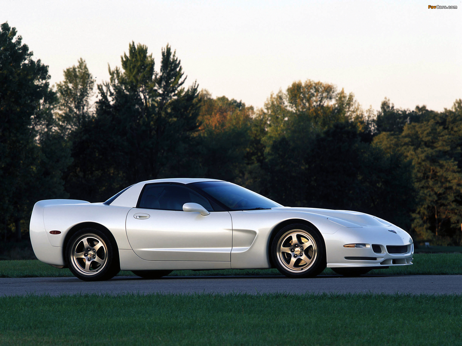 Corvette Z06 White Shark Concept (C5) 2002 pictures (1600 x 1200)