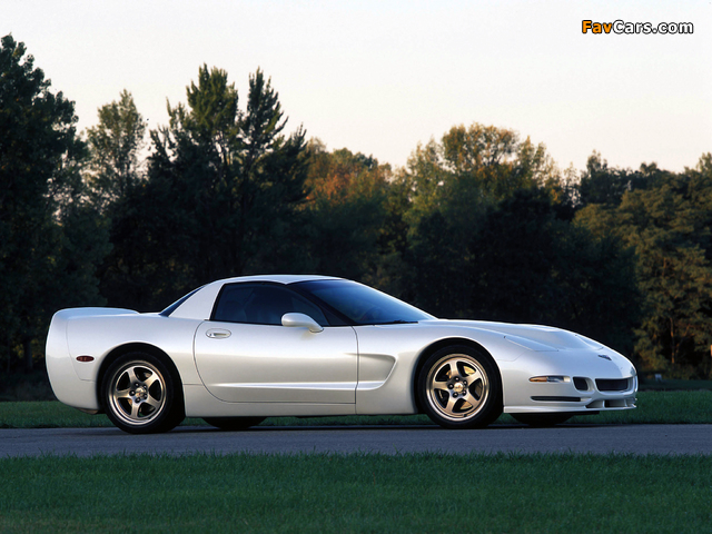 Corvette Z06 White Shark Concept (C5) 2002 pictures (640 x 480)