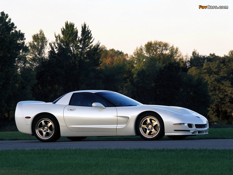 Corvette Z06 White Shark Concept (C5) 2002 pictures (800 x 600)