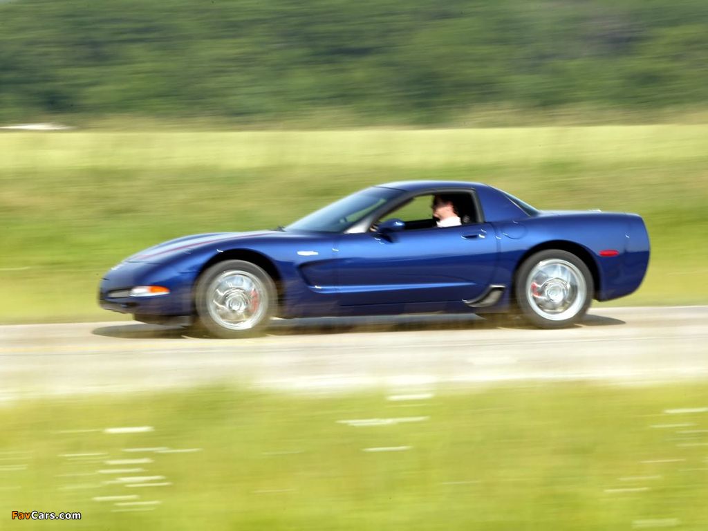 Corvette Z06 Commemorative Edition (C5) 2003 pictures (1024 x 768)