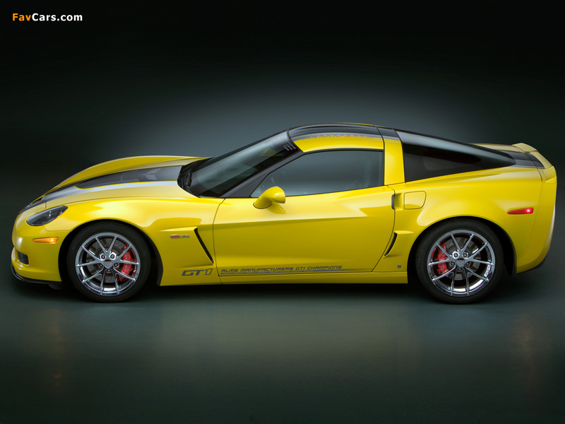 Corvette Z06 GT1 Championship Edition (C6) 2009 photos (800 x 600)