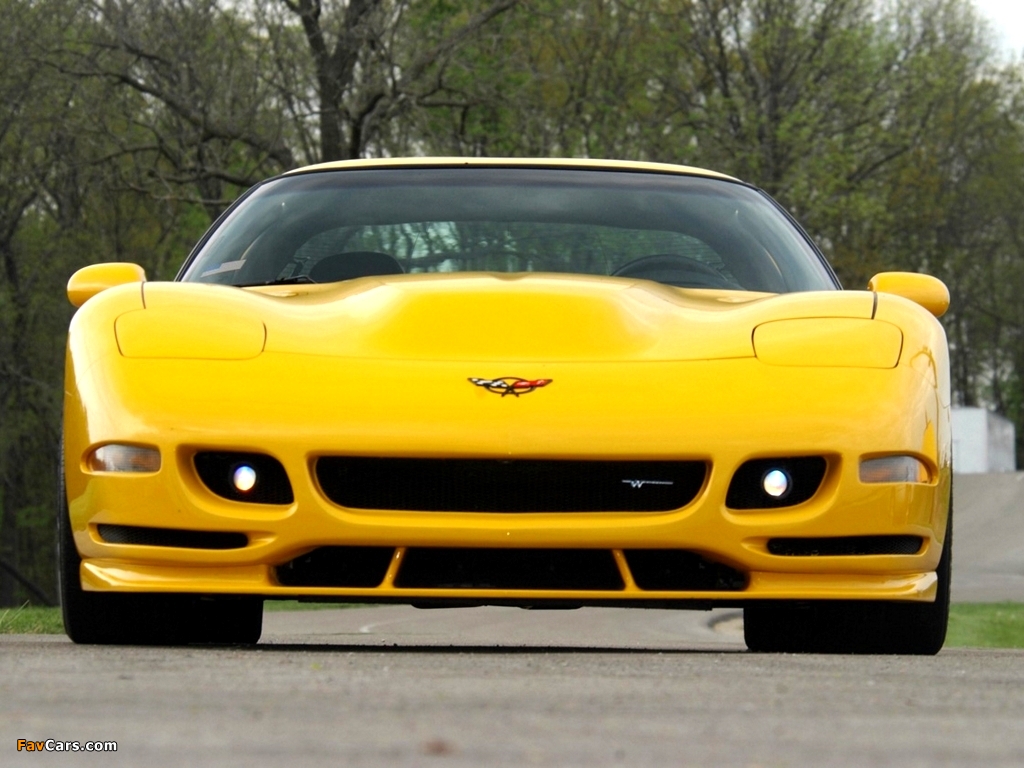 Images of Corvette Z06 White Shark Concept (C5) 2002 (1024 x 768)