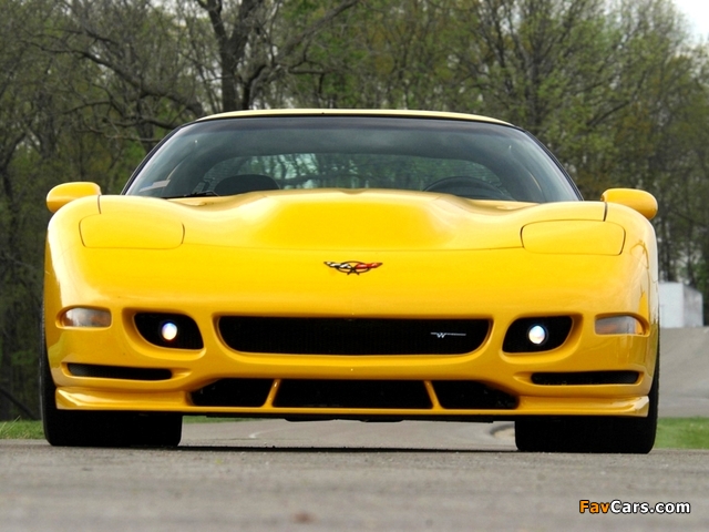 Images of Corvette Z06 White Shark Concept (C5) 2002 (640 x 480)
