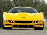 Images of Corvette Z06 White Shark Concept (C5) 2002