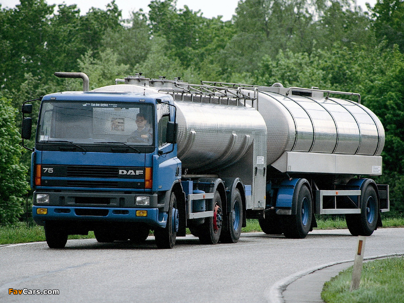 DAF 75 Tanker 1992–2000 pictures (800 x 600)