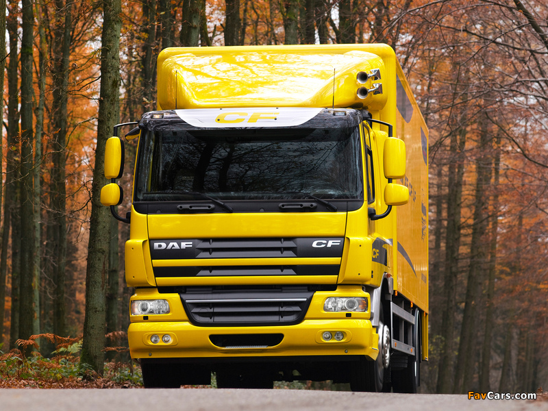 DAF CF75 4x2 2001 wallpapers (800 x 600)