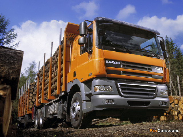 Pictures of DAF CF85.460 6x4 FAT Sleeper Cab Timber Truck 2006–13 (640 x 480)