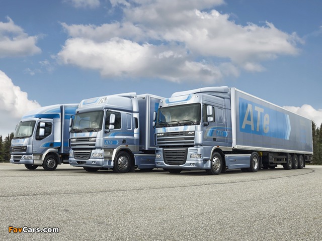 Images of DAF (640 x 480)