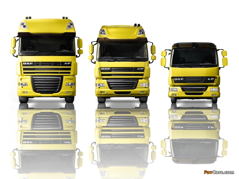 Pictures of DAF (800 x 600)