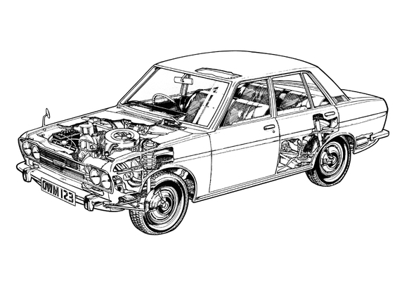 Pictures of Datsun 1300 1970