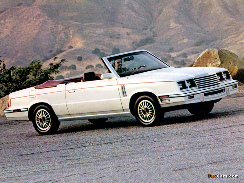 Images of Dodge 600 Convertible 1985 (800 x 600)
