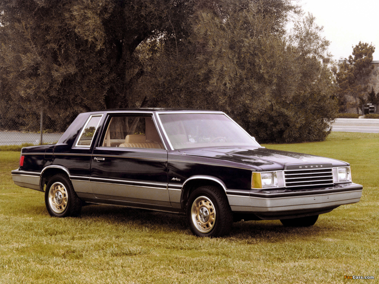 Dodge Aries Coupe 1980–81 photos (1280 x 960)