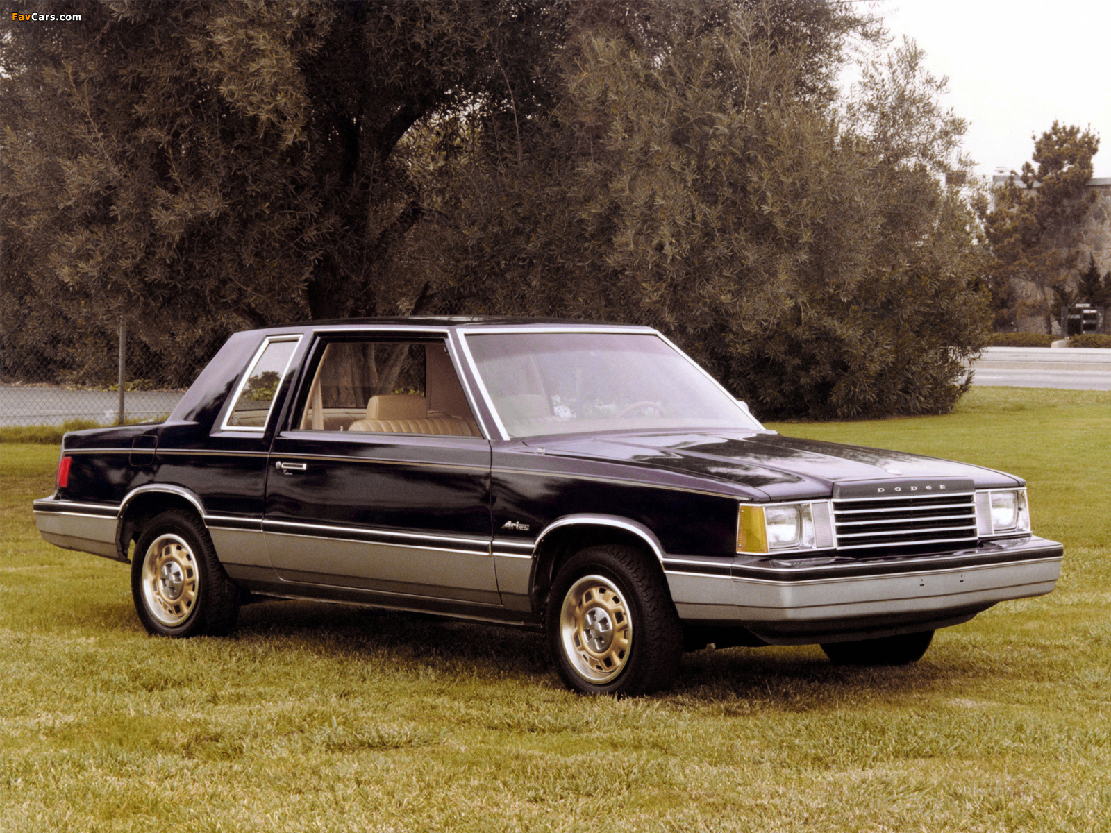 Dodge Aries Coupe 1980–81 photos (1600 x 1200)