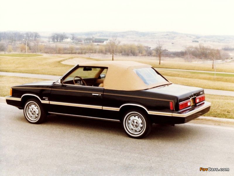 Dodge Aries Convertible by Con-Tec 1981–82 images (800 x 600)