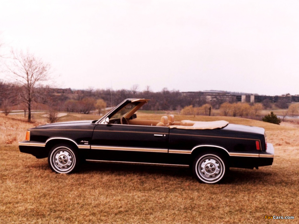 Images of Dodge Aries Convertible by Con-Tec 1981–82 (1024 x 768)
