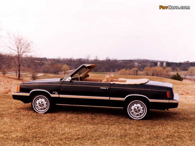 Images of Dodge Aries Convertible by Con-Tec 1981–82 (640 x 480)