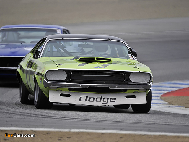 Dodge Challenger Trans-Am Race Car 1970 images (640 x 480)