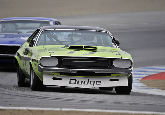 Dodge Challenger Trans-Am Race Car 1970 images